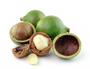 Macadamia oil