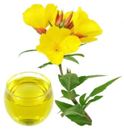 Λάδι Evening Primrose